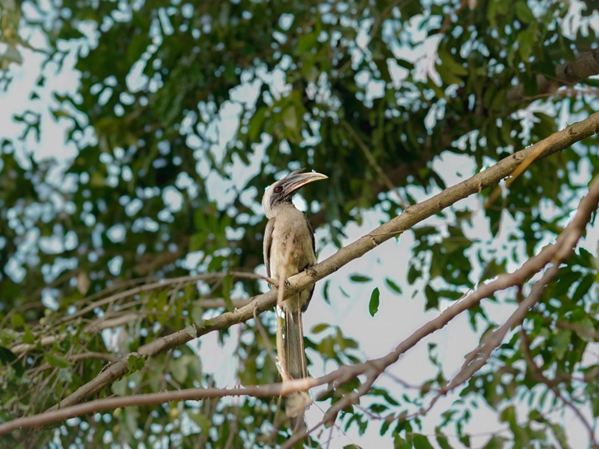 Aahana Resort - Jim Corbett Ramnagar  Bagian luar foto